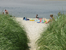 Maine Healthy Beaches