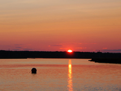 Great Bay Pathogenic Vibrio & Environmental Data